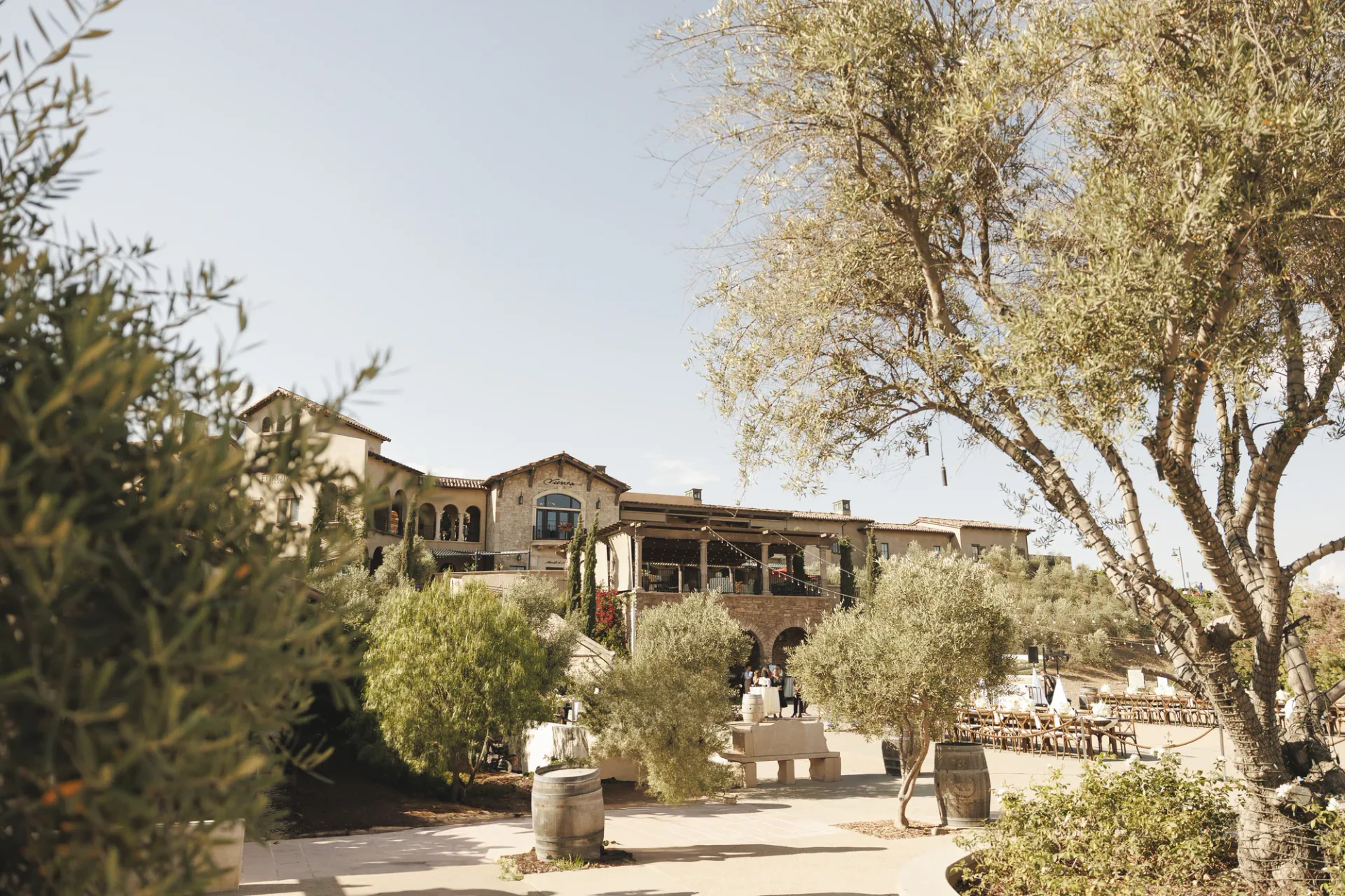 Temecula wine country wedding