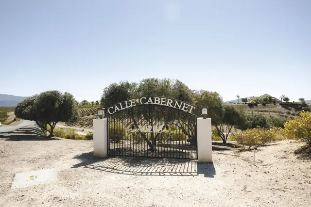 Caylee and Levon wedding at Villa de Amore in Temecula — A gallery & a film, in sync, photograph 12