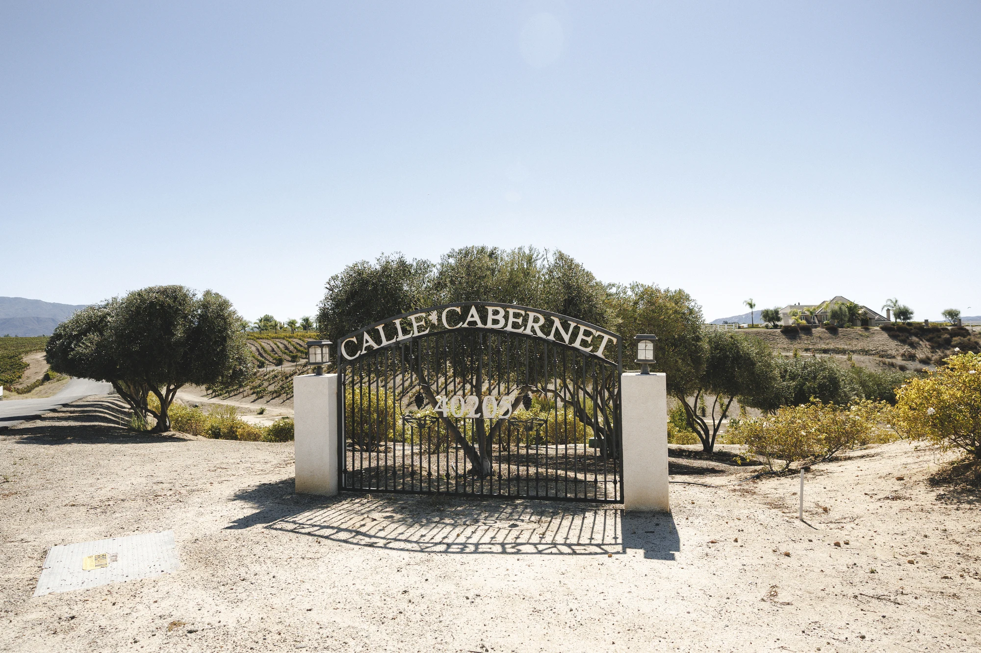 Caylee & Levon — Villa de Amore · Temecula
